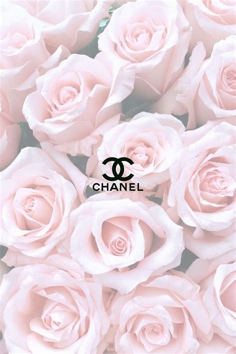 belles roses chanel fond d'écran|180 meilleures idées sur Fond d'écran chanel .